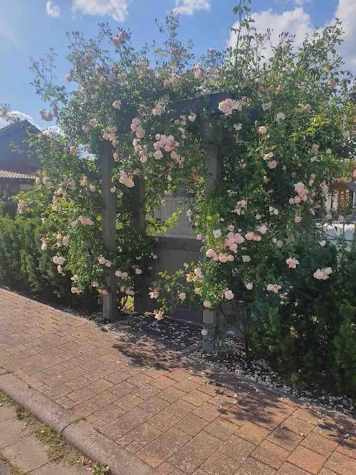 Wohlfuehloase Auf 133-160Qm In Der Idylle An Der Nahe Daire Duchroth Dış mekan fotoğraf